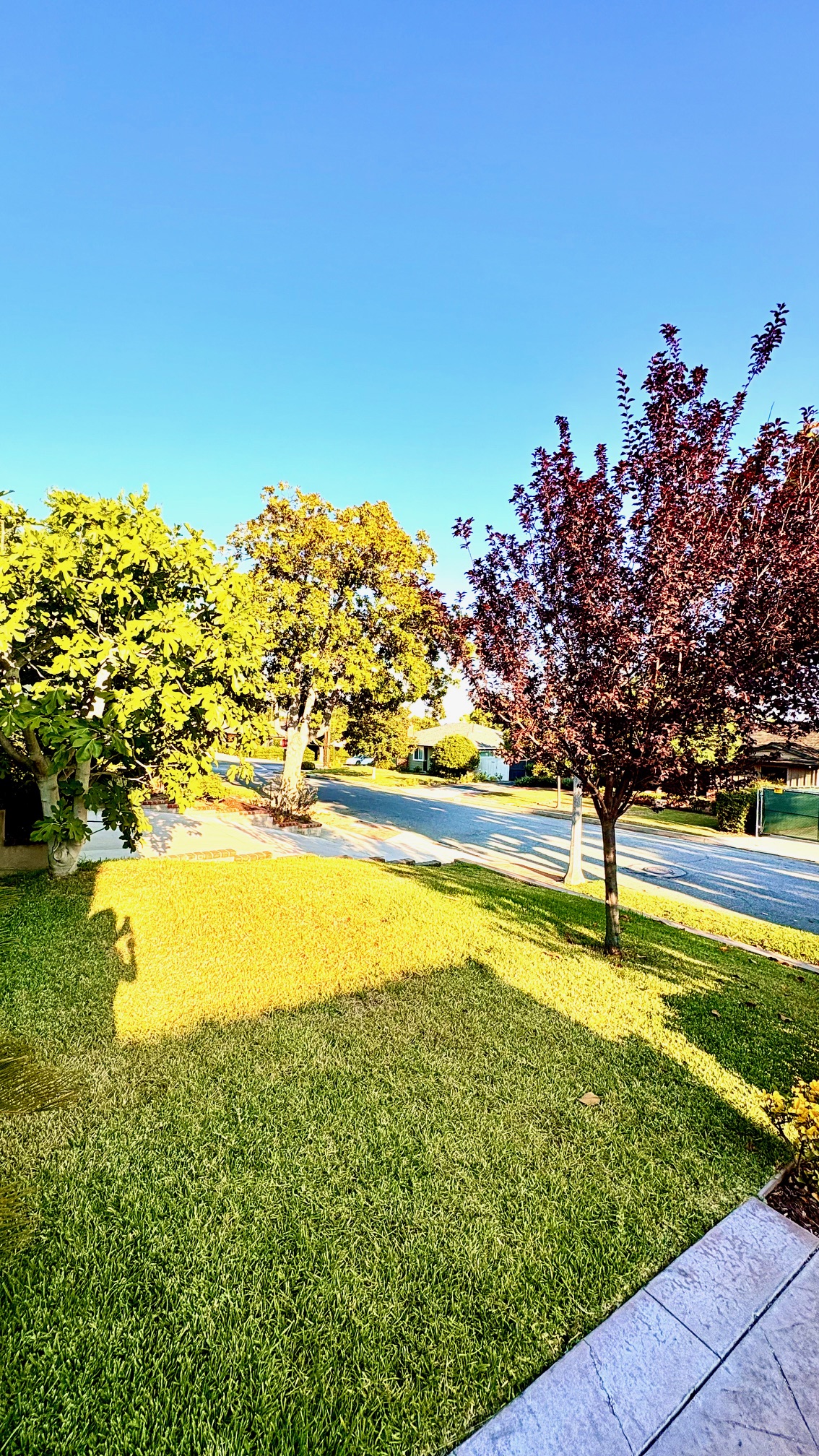 20250716-175117462-b41c-6c636b146fc8_20250716_014157049_8396_75e87edd28c1_image8 _5_.jpeg